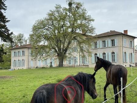 très beau château plus de 20 pièces bon entretien piscine  tennis  parc  bois.