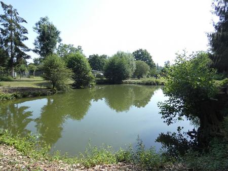 magnifique terrain de loisirs