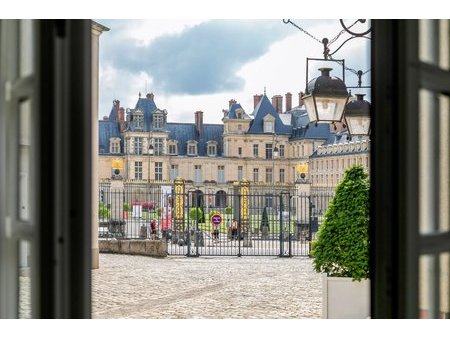 charmant appartement face au château de fontainebleau