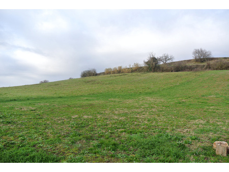 terrain - 21 855m² - ste bazeille