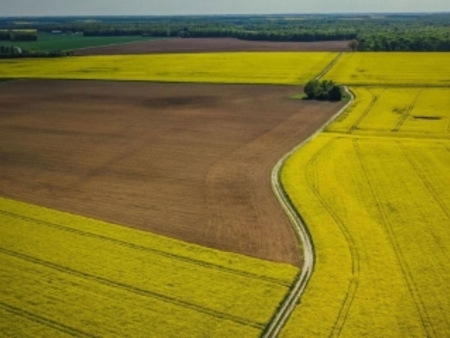 terrain agricole à vendre