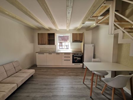 beau duplex meublé 45m²