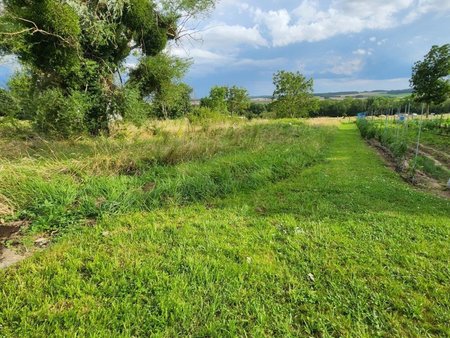 vente terrain de 1 155 m² à flogny