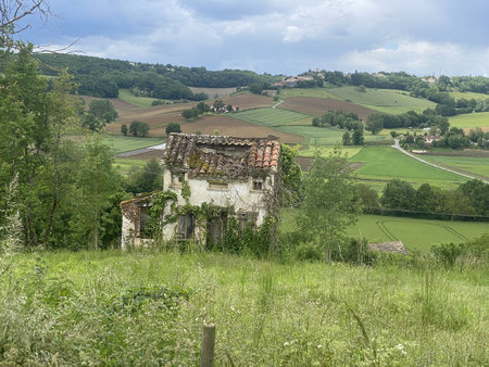 terrain de 5462 m2 et sa dépendance d'env 40 m2