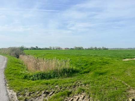 terrain à vendre à klemskerke € 586.500 (ktkmq) - lorenz cocquyt | zimmo