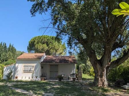 maison 2 pièces sur grand terrain à la campagne