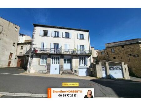 vente immeuble 280 m² vertaizon (63910)