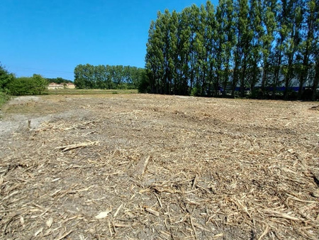 terrain - 1 354m² - dunkerque