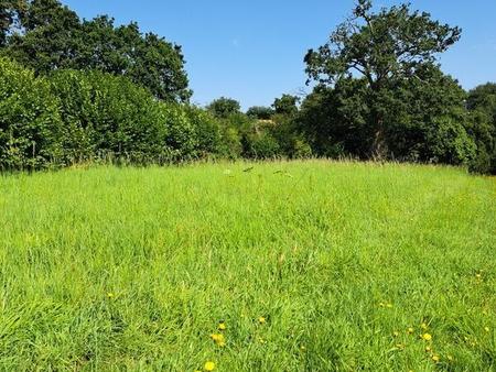 vente terrain à villaines-la-juhel (53700) : à vendre / 940m² villaines-la-juhel