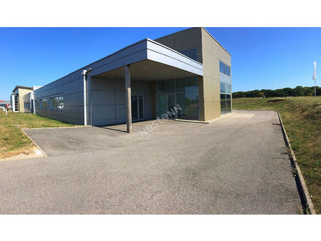 morhange :local toutes activités 476m²