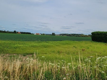 terrain à bâtir à steenvoorde (59114)