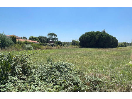 vente terrain 2535 m² saint-pierre-d'oléron (17310)