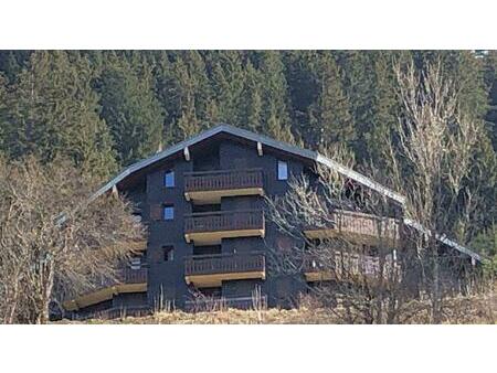 grand appartement à petit châtel