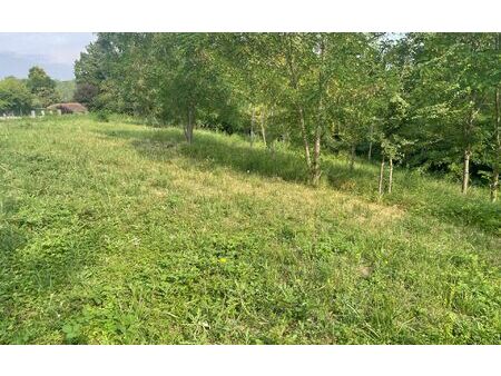 terrain beaupuy m² t- à vendre  240 000 €