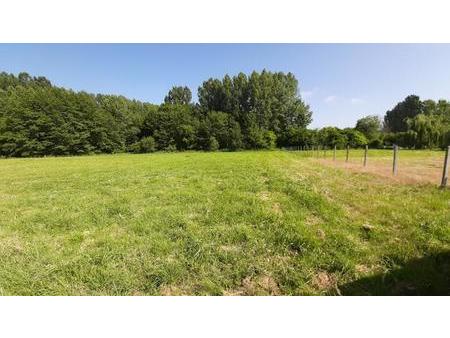 vente terrain à aubigné-racan (72800) : à vendre / 1707m² aubigné-racan