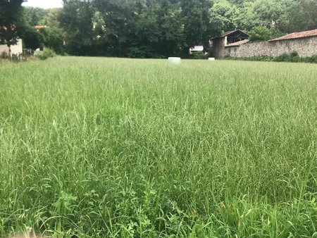 terrain plat constructible viabilise de 2175m²- beauchalot