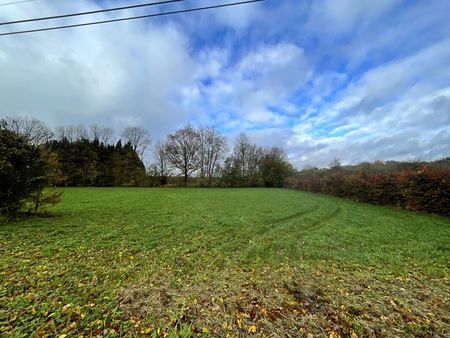 terrain à vendre à couvin € 45.000 (kto4v) - wellimmo | zimmo