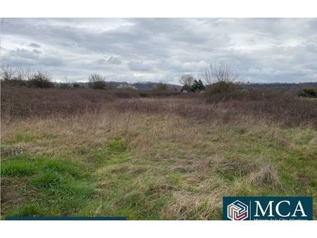 vente terrain 1367 m² castillon-la-bataille (33350)