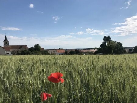 proximité immédiate arc-sur-tille: terrain à bâtir