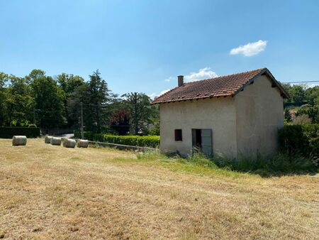 ancienne maison de vignes du xixème siècle à agrandir  très bel emplacement