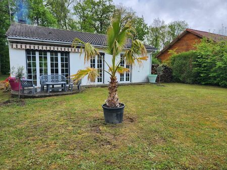 maison avec jardin donnant sur étang