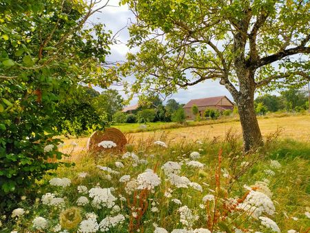 maison rénovée propriété de 8 hectares