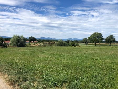 terrain 400 m² dannemarie