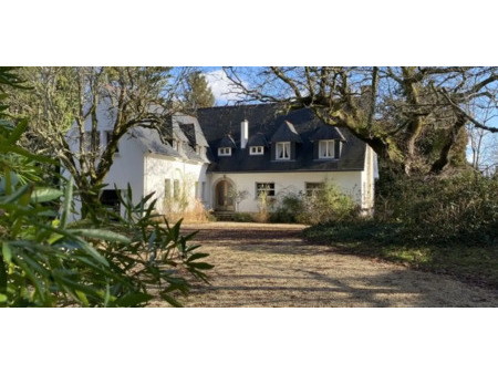 maison avec jardin et terrasse pont-aven (29)