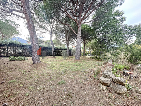 laroque des albères terrain constructible de 769 m2 hors lot