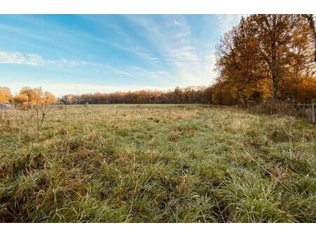 vente terrain 1000 m²