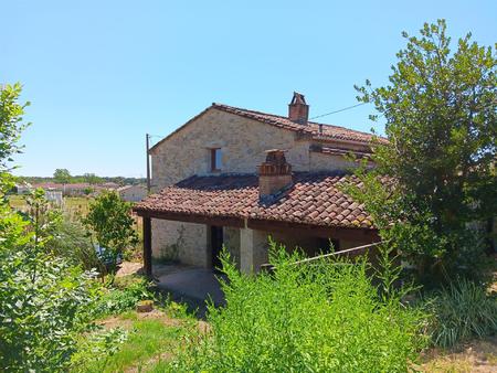 maison en pierre  jardin et garage.