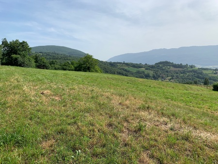 terrain - 980 m²