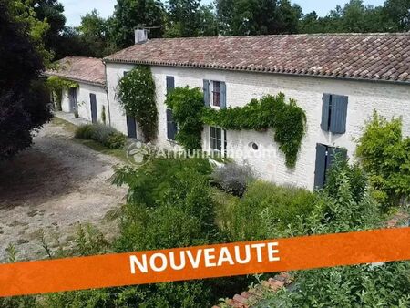 vente maison 10 pièces 328 m2 à villeneuve-la-comtesse