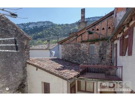 vente maison saint-antonin-noble-val (82140)