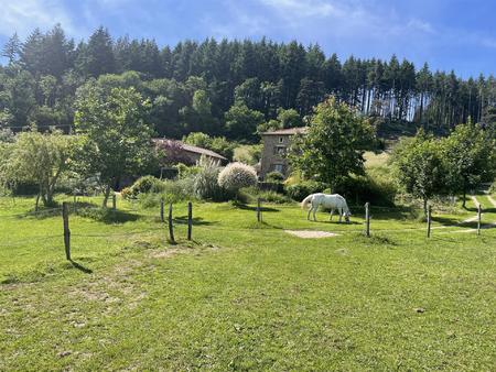 maison équestre avec 4ha600 de terrain