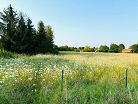 terrain 2 960 m² maizieres la grande paroisse