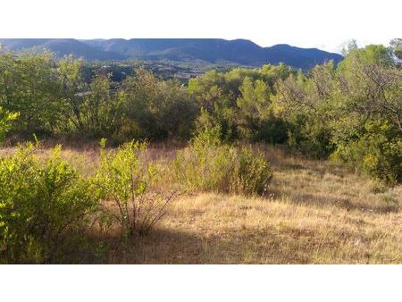 terrain parcelles agricole loisirs de 2 hectares