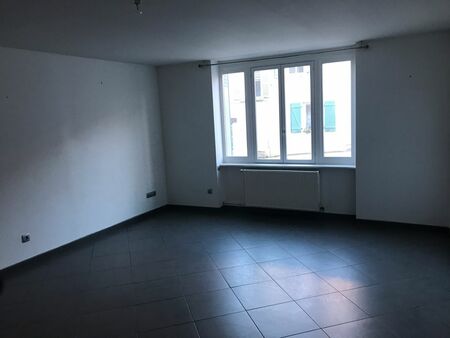 appartement odenas lumineux t2 meublé à louer disponible