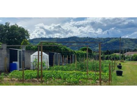 jardin potager parcelle de 50 à 100 m²