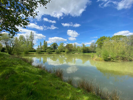 vente terrain à saint-méen-le-grand (35290) : à vendre / 6000m² saint-méen-le-grand