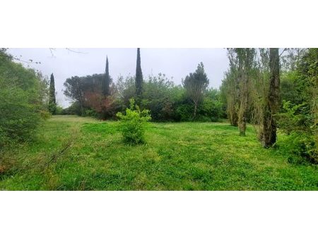 vente terrain 1003 m²