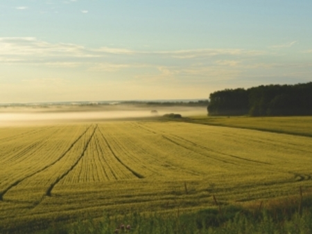 terrain agricole à vendre