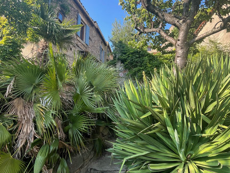 10min limoux  maison de caractère avec terrasses et jardin.