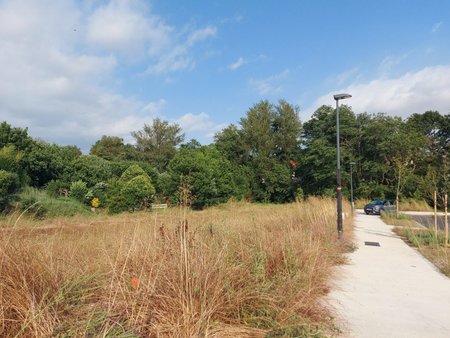 terrain à bâtir à saint-lys (31470)