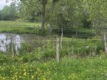 terrain de loisir de 6000 m2 de tranquillité idéal potager  animaux ou réunion familiale