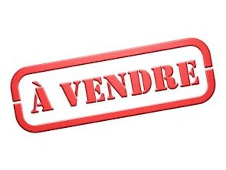 dijon vends local commercial de pap