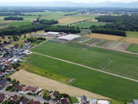 terrain 542 m² bindernheim