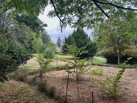 terrain arboré et calme