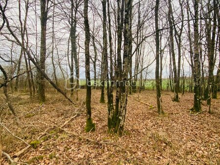 terrain de 5 010 m² à chaumont