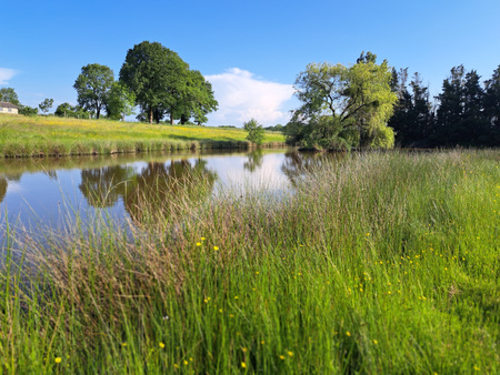 propriété de deux hectares à vendre